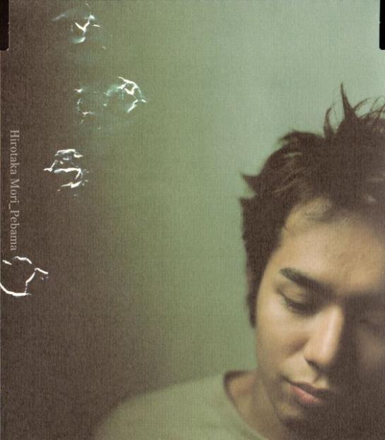 この煙るような色合いと、石でつけたようなしわが面白い。