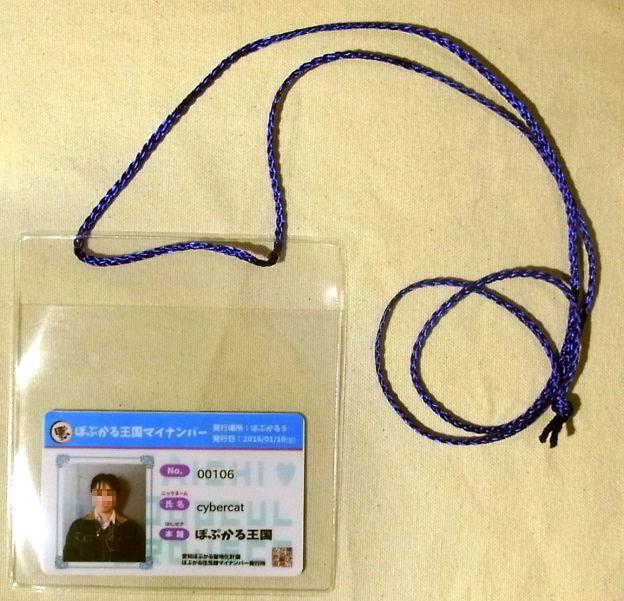 反対面にはマイナンバーと氏名、本籍(ぽぷかる王国)が入る。