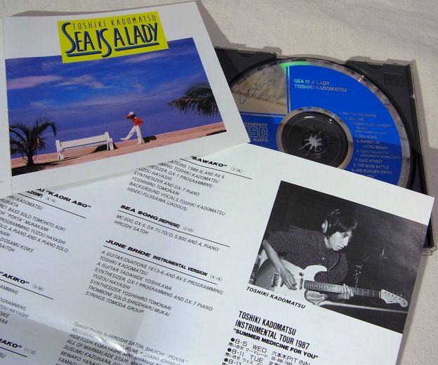 最近では珍しい折りたたみ式のライナー