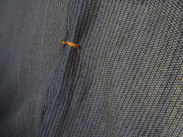 惜しい値段ではないので穴空けて縛った