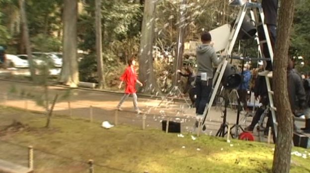 PVでは3~4秒ほどかけて舞い落ちる花びらは実際には1秒ほどのボタ落ちw