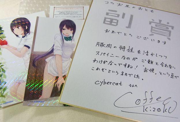 キラキラカードがキラキラしてるンぢゃ~