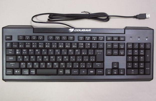 サイズはやや小さめかな?