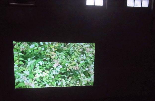 かなり鮮明に映る