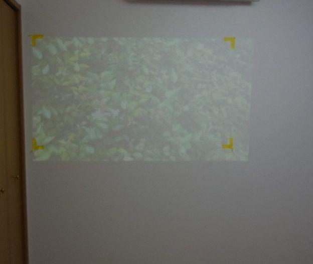 一番大きな66V型