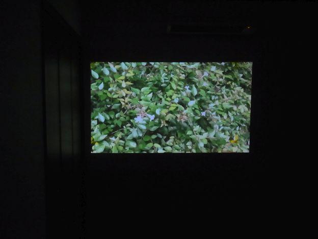 灯りを落とすと66V型でも十分な画質