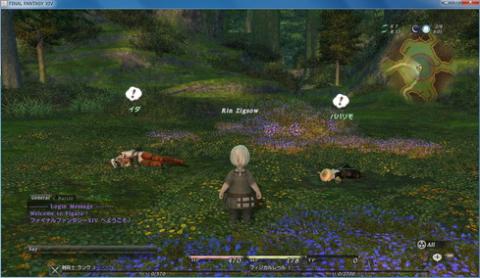 やっとログイン!