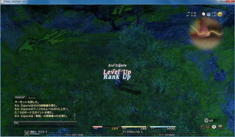 レベルアップ!ランクアップ!