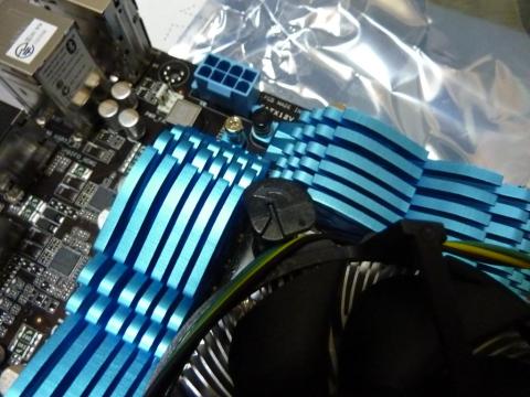 爪をこの向きから