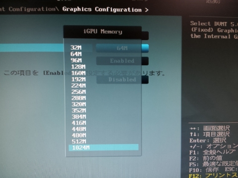 内蔵グラフィックメモリーが1024MBを選択出来る様になりました!