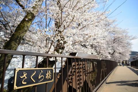 さくら橋