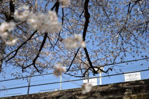 勝沼ぶどう郷駅