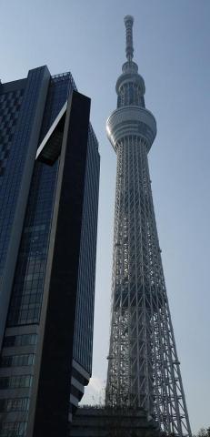 押上駅を出たところのスカイツリー
