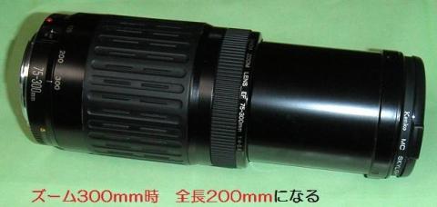 300mmにすると長~い