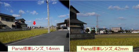 Pana付属の14と42mm