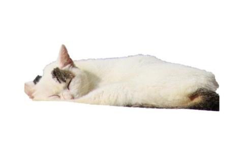 Excelで背景をカット