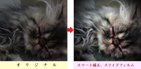 画像補正前後の比較