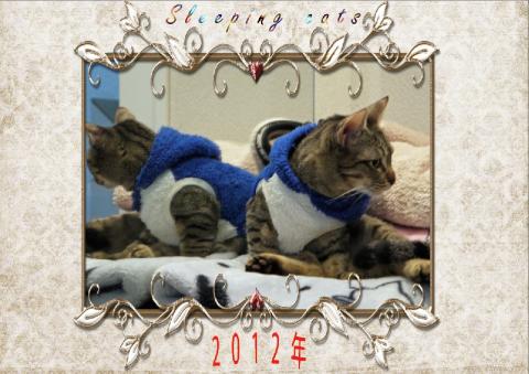 カレンダー表紙