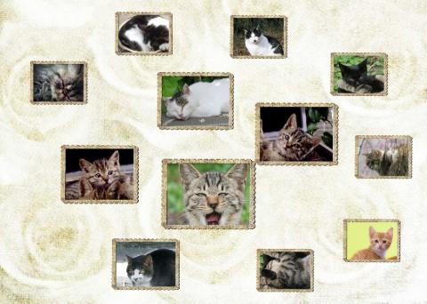 EXILE レイアウトとでも言いましょうか