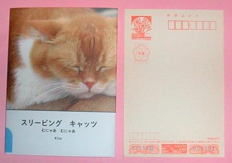 フォトブックとはがき