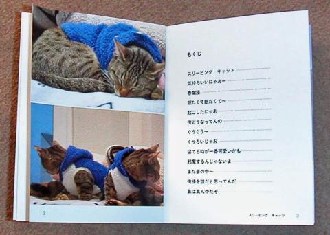 フォトブック一コマ