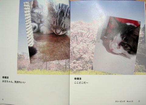 見開きページもいいです