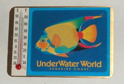 水族館アンダーウォーターワールドでGet