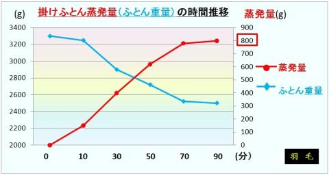掛けふとん(羽毛)