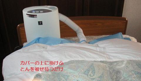 掛けふとんを被せる