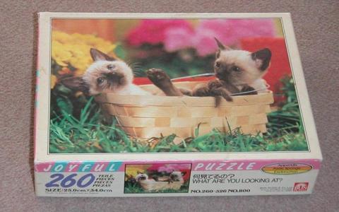 タイトル「何見てるの?」