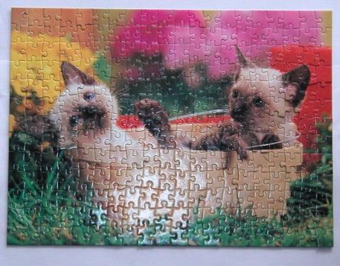 わざと光を反射させてみた