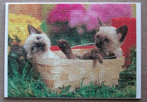 ベース上に対象をのせカバーを置く