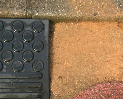 水を含ませて敷き詰める