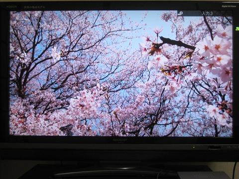 高画質動画の視聴例