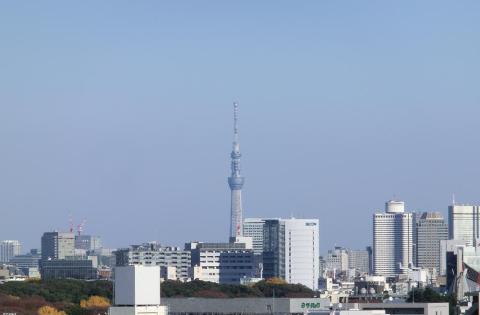 約15キロ離れたところから撮ったスカイツリー