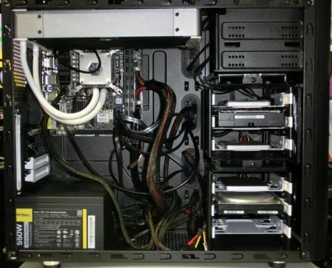 ケース内部全体の風景