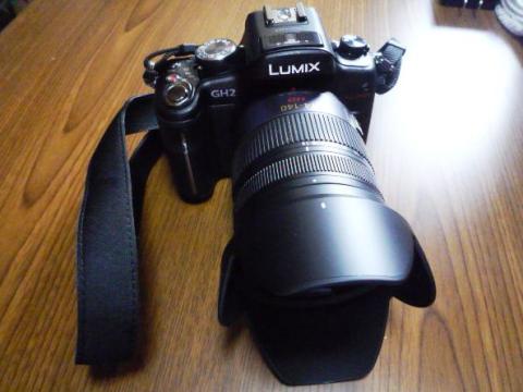 DMC-GH2