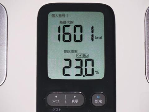 基礎代謝&体脂肪率