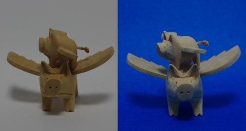 サンプル:サスケ兄弟