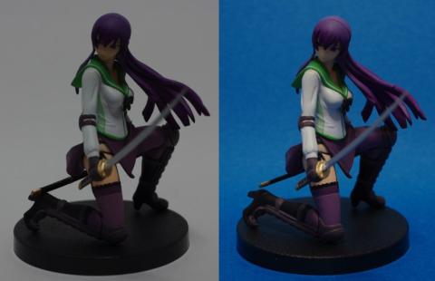 サンプル:毒島冴子