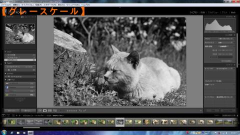 グレースケール