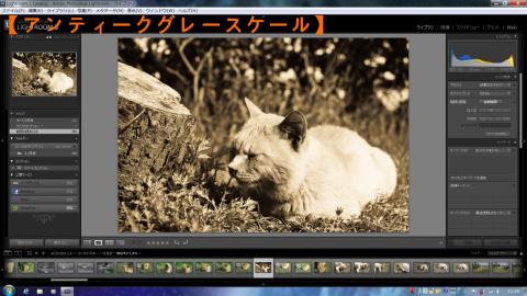 アンティークグレースケール