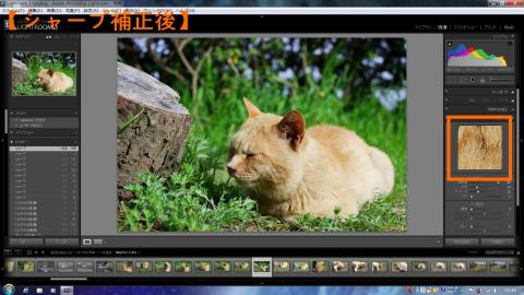 思いっきり、シャープ