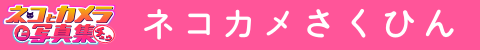ネコカメ作品