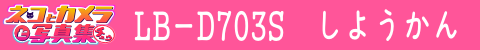 LB-D703S使用感