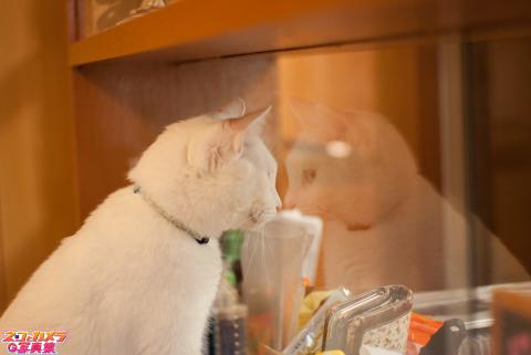 【ご飯、まだかなぁ・・・】