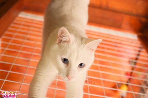 【遊んで、遊んで♪】