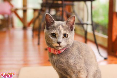 【困ったなぁ・・・】