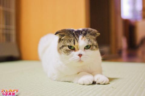 【なんだよぉー】