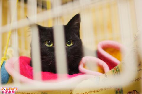 【新人なんですよ♪仲良くしてね】